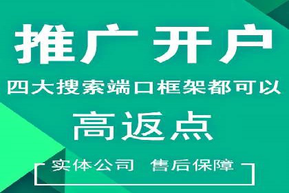 SEM代运营案例：助力企业实现线上转型